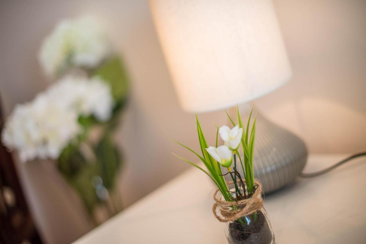 Apartment Studio Lara Rovinj Dış mekan fotoğraf